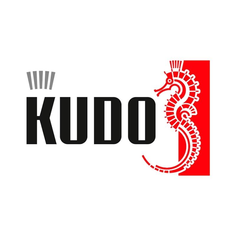 Лого Kudo