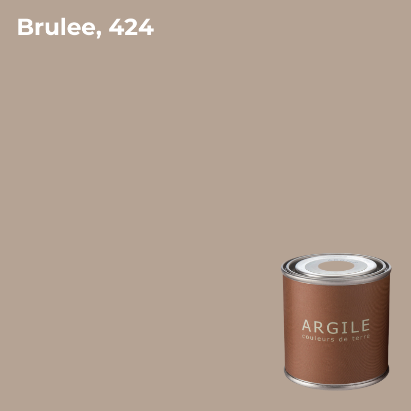 Проб. кр. в/э ак. мат. Argile Brulee, 424