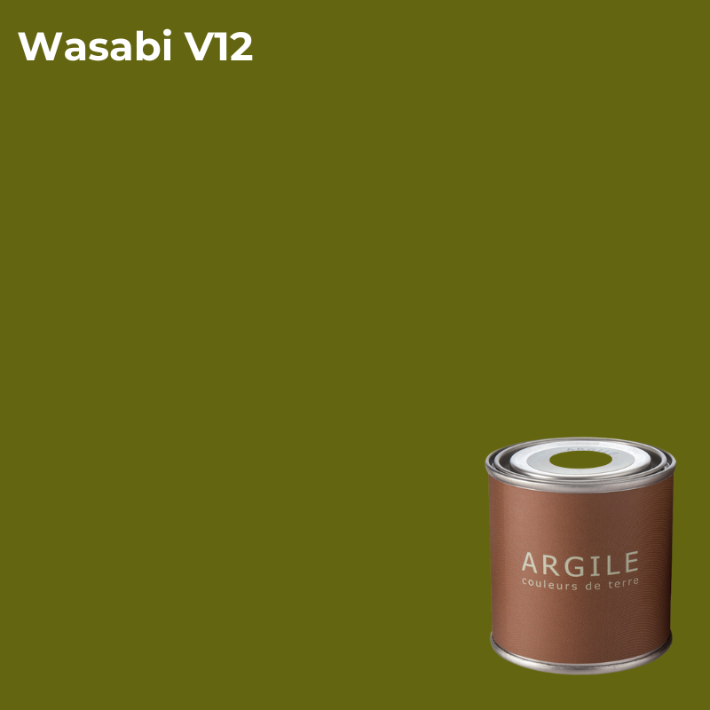 Проб. кр. в/э ак. мат. Argile Wasabi, V12
