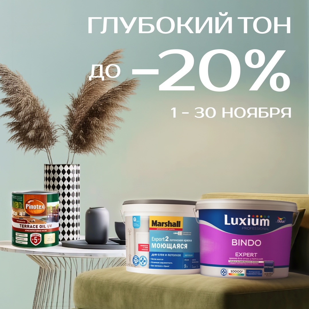 акция ноябрь