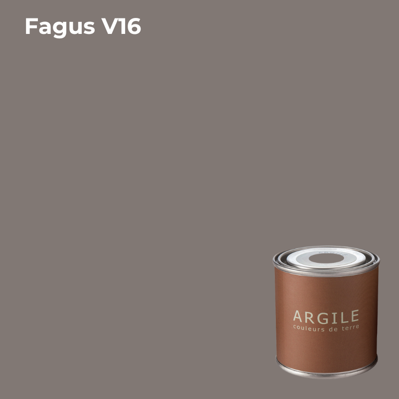 Проб. кр. в/э ак. мат. Argile Fagus, V16