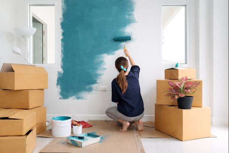 Интерьерные краски: виды, отличия и области применения