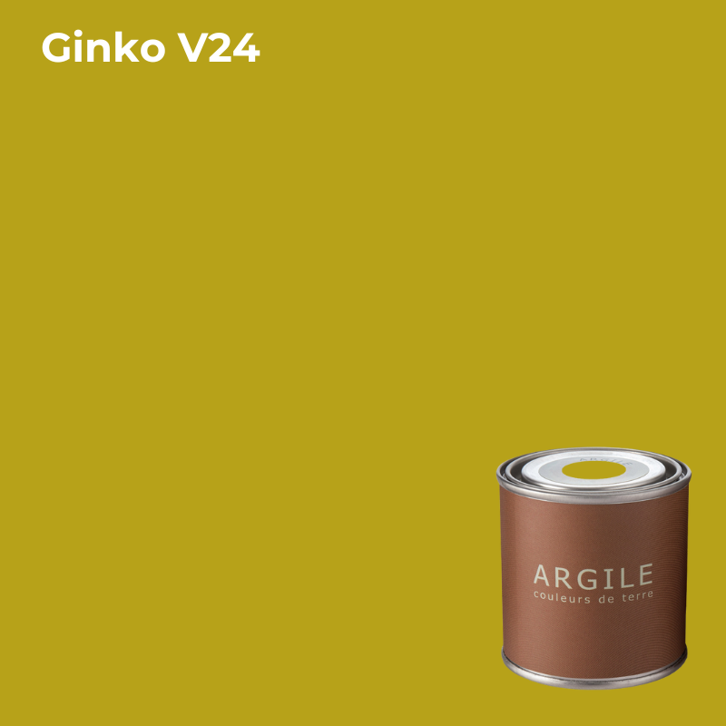Проб. кр. в/э ак. мат. Argile Ginko, V24