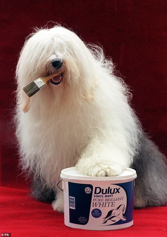 -d_O2fuCfaA.jpg